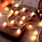 Outdoor Solar Or USB LED String Lights For Garden Decor And Events 0
