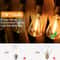 Outdoor Waterproof String Lights For Garden Patio And Event Decoration 5
