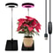 Full Spectrum Indoor Plant Growth Light With Adjustable Stand 6