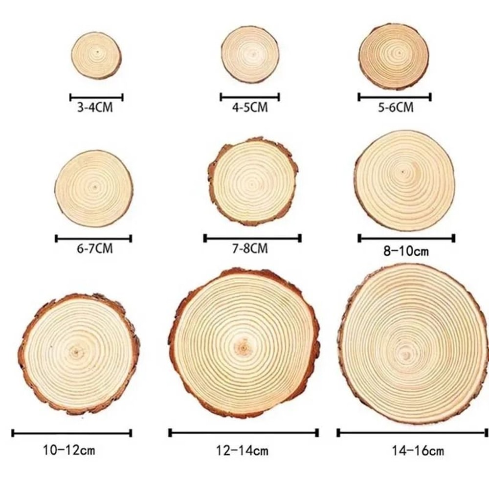 Natural Pine Wood Craft Slice Set 2