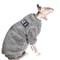 Soft Double Sided Fleece Cat Jacket 1