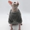 Soft Double Sided Fleece Cat Jacket 2