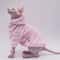 Soft Double Sided Fleece Cat Jacket 5