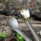 Titanium Long Handle Spork Spoon 5