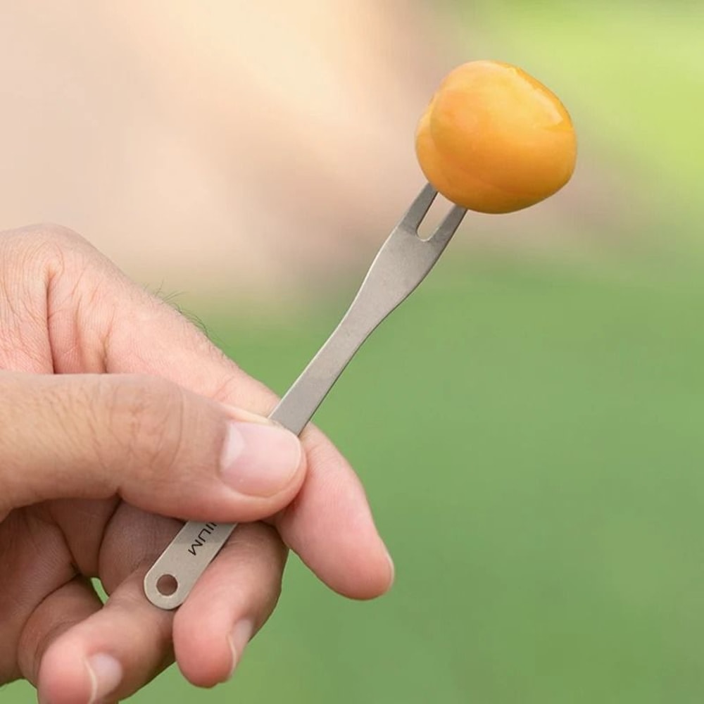 Titanium Outdoor Dessert And Fruit Fork 3
