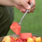 Titanium Outdoor Dessert And Fruit Fork 4