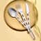 Portable Stainless Steel Cutlery Set 4