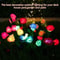Solar Rose Flower Garden Lights Set 2