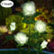 Solar Rose Flower Garden Lights Set 6
