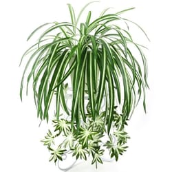 artificial hanging green plant wall decor