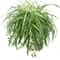 Artificial Hanging Green Plant Wall Decor 1