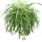 Artificial Hanging Green Plant Wall Decor 1