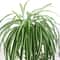 Artificial Hanging Green Plant Wall Decor 4