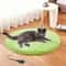 USB Heated Pet Blanket Pad For Cats And Dogs Comfort And Warmth 1