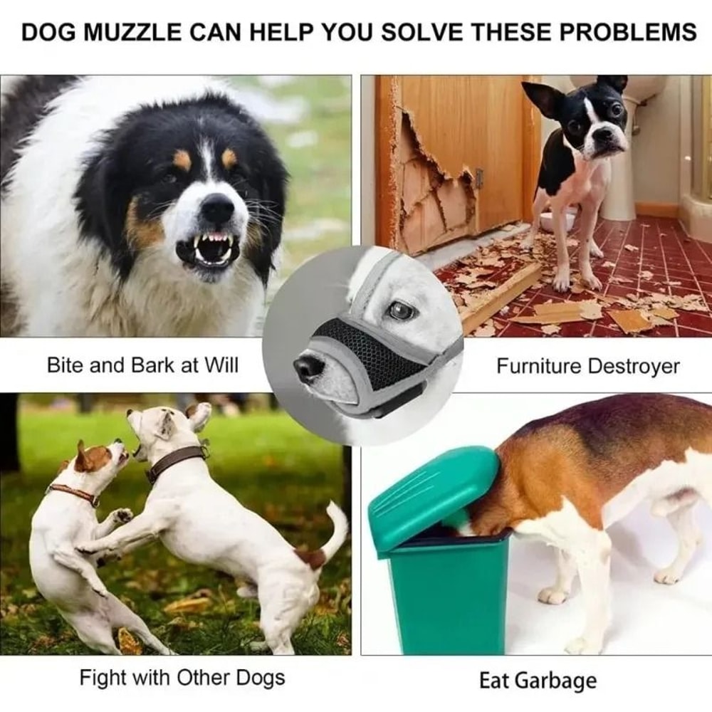 Help Keep Your Dog Safe And Comfortable During Walks Grooming And Vet Visits With This Breathable A 5