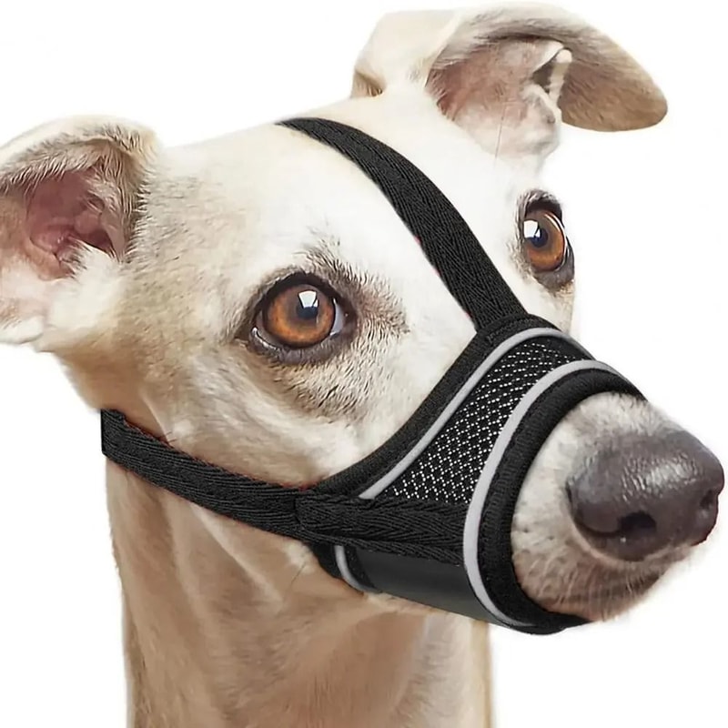 Help Keep Your Dog Safe And Comfortable During Walks Grooming And Vet Visits With This Breathable A 6