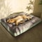 Winter Warm Corduroy Dog Bed With Washable Soft Sleeping Mat 3