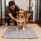 Fast Absorbent Puppy Training Pads 1