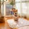 Fast Absorbent Puppy Training Pads 3