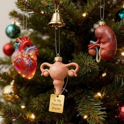 anatomy theme advent calendar