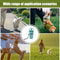 Portable Dog Poop Scooper Tool 2
