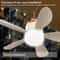 Remote Control Outdoor Cooling Ceiling Fan 5