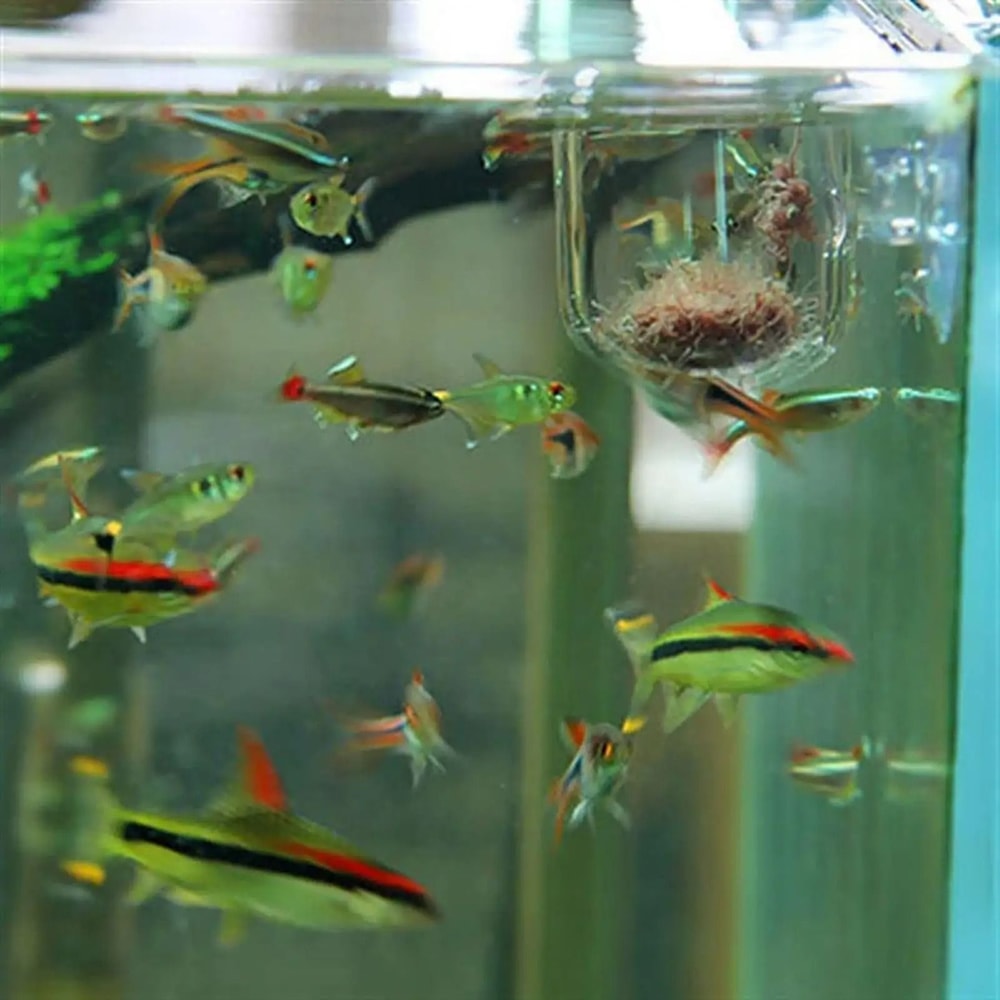 Acrylic Aquarium Plant Cup With Suction Holder 1