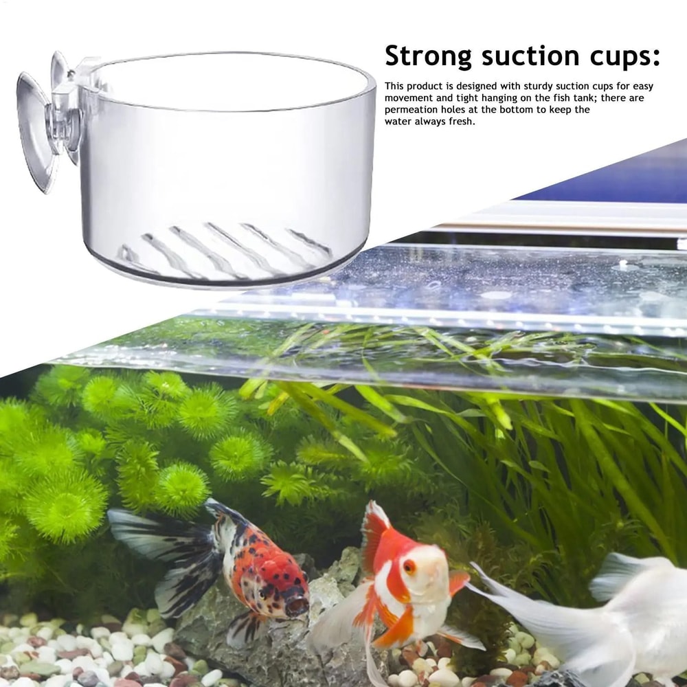 Acrylic Aquarium Plant Cup With Suction Holder 4