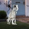 Realistic Skeleton Dog Halloween Statue 2