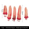 Fake Severed Zombie Hand Prop For Halloween Decoration And Haunted Displays 6