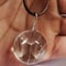 Round Dandelion Pendant Necklace With Transparent Glass Charm 1