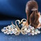 Sparkly Diamond Swan Hair Barrettes Stylish Hair Clips 0