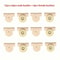 Seamless Magnetic Button Set For Bags Wallet Clothes DIY Craft Accessories 8