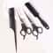 Professional Hairstyling Tool Set Hair Clippers Combs And Thinning Clippers 2
