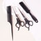 Professional Hairstyling Tool Set Hair Clippers Combs And Thinning Clippers 2