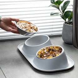 stainless steel double pet bowl set with non slip base for dogs and cats