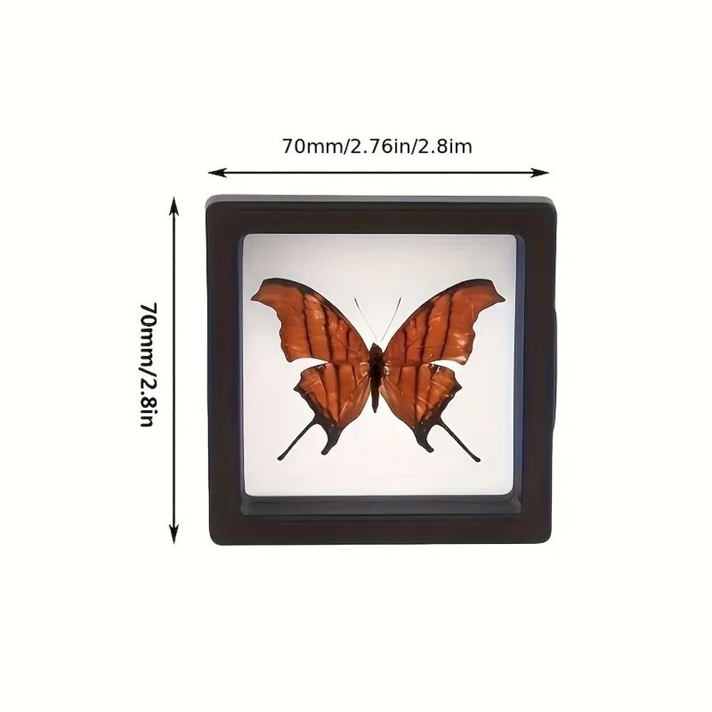 Plastic Display Box Set Ten Piece For Jewelry Coins And Collectibles 3