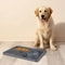 Silicone Slow Feeding Lick Mat For Dogs And Cats 4