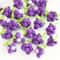 Handmade Crochet Grape Keychain Decorations Set 5