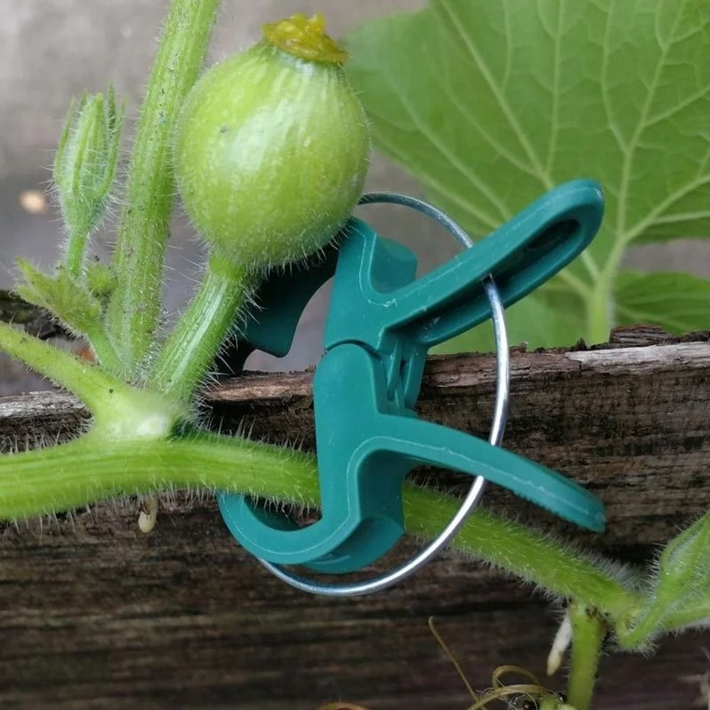 Adjustable Plant Clips For Garden Support 1
