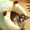 Slipper Shaped Winter Warm Pet Bed 4