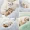 2 In 1 Plush Round Pet Bed And Sleep Bag 3
