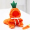 Plush Cartoon Fruit Pet Winter Fleece 9