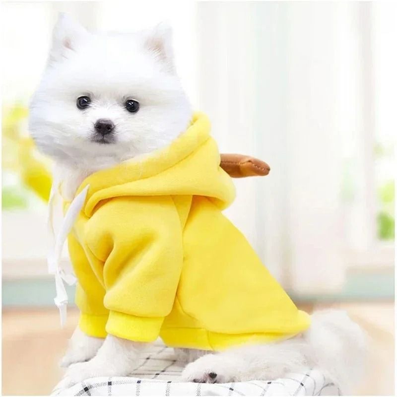 Plush Cartoon Fruit Pet Winter Fleece 4