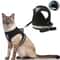 Mesh Comfort Reflective Cat And Small Dog Harness Set 0