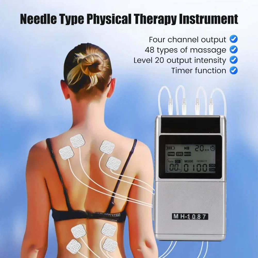 Professional Dual Channel TENS And EMS Pulse Therapy System 1
