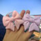 Macaron Bow Magnetic Phone Grip And Stand 5