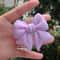 Plain Macaron Bow Knot Universal Phone Grip And Stand 2