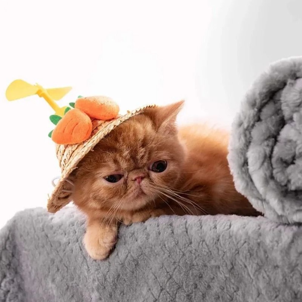 Ultra Soft Fuzzy Fleece Pet Comfort Blanket 3