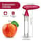 Precision Stainless Steel Apple And Pear Corer 0
